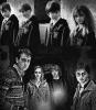 Harry,Ron,Hermiona i Neville